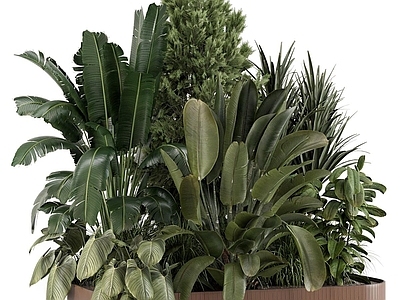 植物堆 花池 树池 植物堆