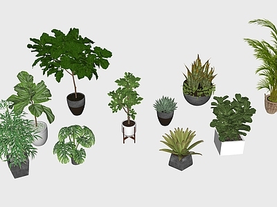 现代简约其他小品 花钵 盆栽 盆景 植物 花盆