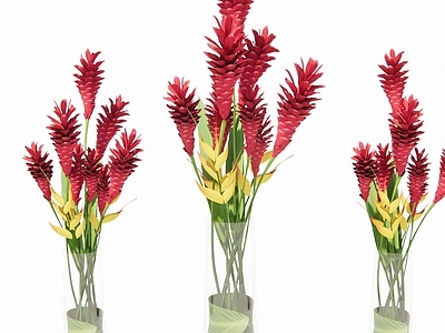 现代花店 花