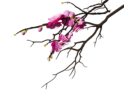 现代美陈 卡通梅花 樱花 花艺美陈 商场美陈 花卉花束