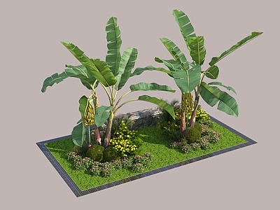 新中式现代住宅景观 植物组团 景观 芭蕉树 芭蕉叶 灌木组团