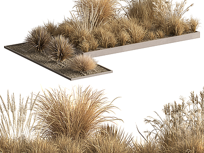 植物堆 户外干式灌木 干草 景观植物