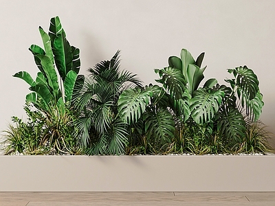 植物堆 绿植 花坛绿植 花坛植物堆 植物 花坛花草