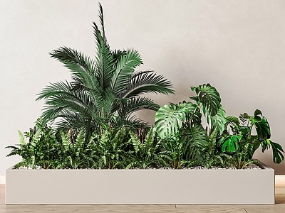 植物堆 花坛绿植 树池植物组合 绿植组合 花坛植物堆 花坛花草