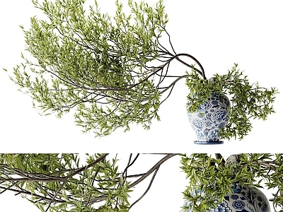 盆景 盆景盆栽 绿植摆件 花艺摆件 陶瓷花瓶