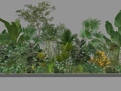 植物组合 热带植物组合 室内热带植物造景 大叶植物组合