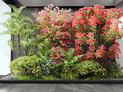 灌木 室内景观 花草组合 花境 三角梅 杜鹃花卉