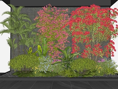 灌木 室内景观 花草组合 花境 植物组合 三角梅花卉