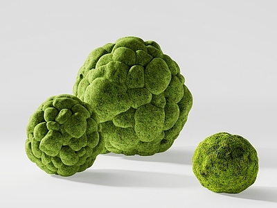 苔藓 苔藓球 球形苔藓植物 植物摆件