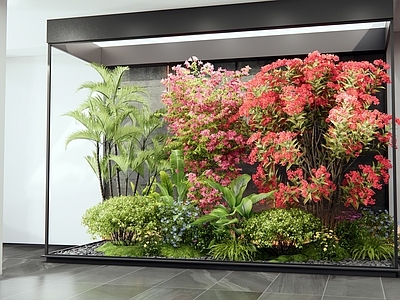 植物组合 室内植物造景 灌木 花草 三角梅 开花植物