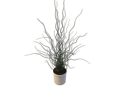 现代摆件组合 花盆