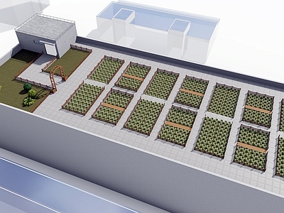 现代办公景观 屋顶花园 屋顶菜园 一米菜园