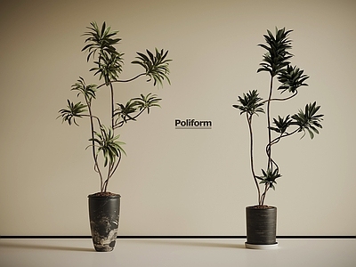 盆栽 中古风 绿植盆栽