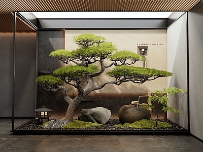 新中式禅意室内景观 天井室内景观 庭院小品 水钵水景 松树 苔藓景观