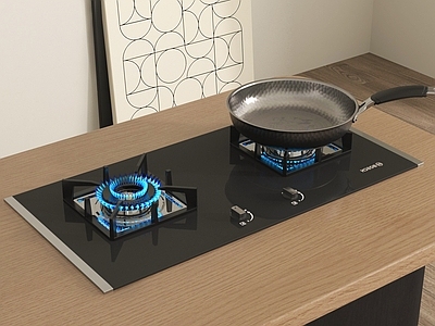 厨房用品 灶具 炊具 灶台 燃气灶