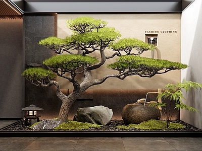 新中式室内景观 松树造景 罗汉松 水钵 天井室内景观 玄关造景