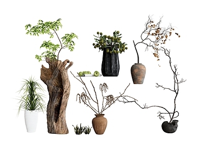 植物组合 植物组合绿植盆栽 盆景花盆花瓶摆件 树木树根原木木雕 盆栽组合 树池植物组合