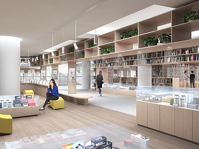 新中式图书馆 图书大厦室内 阅览室 书柜 书架 书本