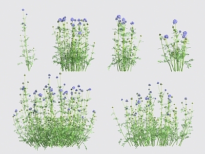 花 花草灌木