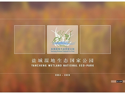 现代其他纸书本 纸 封面 封面封底版式