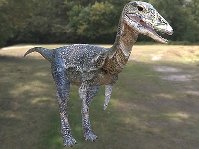 现代爬行类动物 象鸟恐龙动物