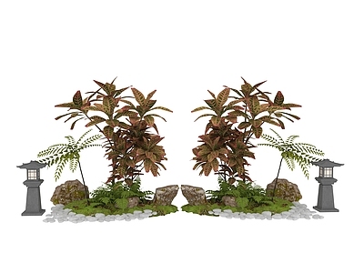盆栽 植物 盆栽
