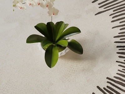 盆栽 现代盆栽