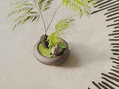 盆栽 现代盆栽