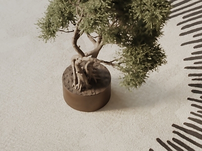盆栽 现代盆栽