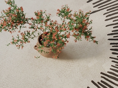 盆栽 现代盆栽