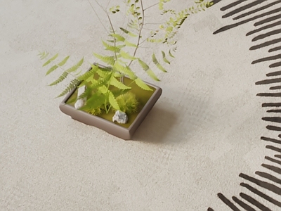 盆栽 现代盆栽