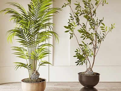 盆栽 中古风绿植盆栽 绿植 盆栽 盆景