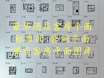酒店客房 豪华酒店客房平面 套间平面 标准间平面图库 施工图