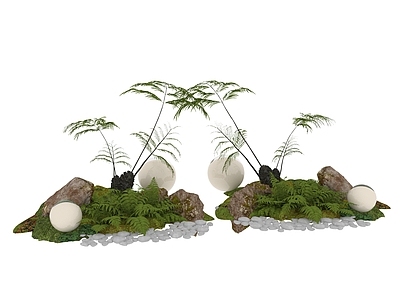 盆栽 植物 树