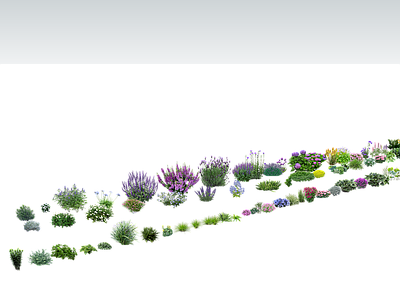 花草 花卉 花草