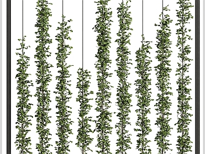 绿植墙 植物墙 景观绿植墙 绿植隔断 绿植屏风 绿植爬藤