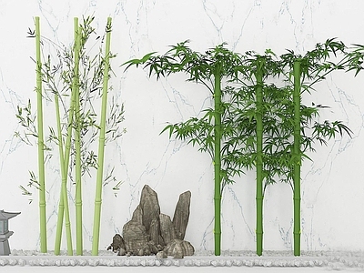现代绿植竹子
