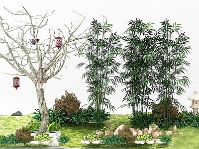 现代绿植竹子