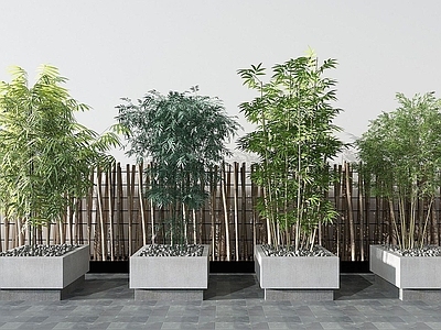 现代绿植竹子