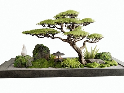 新中式庭院小品 景观石头 苔藓 松树 室内景观 花草