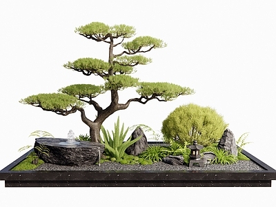 植物堆 水钵 松树 灌木球 庭院小品 室内景观