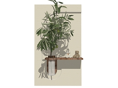 植物组合 树池植物组合 植物 植物装饰