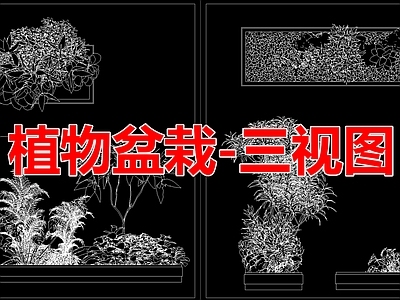 现代绿植 植物盆栽 三视图  施工图