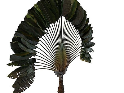 现代办公桌 芭蕉树
