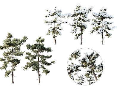 植物堆 现代简约植物