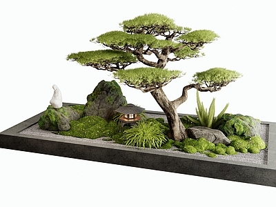 苔藓 室内景观 景观石头 松树 枯山水 花草