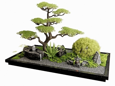 植物堆 室内景观 水钵 水景 松树 花草