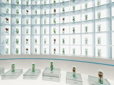 现代简约其他展厅 农业展厅 种子墙 植物标本 标本