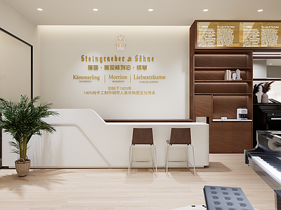 美式轻奢其他店铺 琴行 钢琴店铺