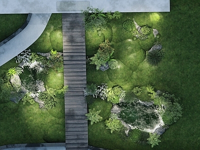 植物组合 水池植物组合